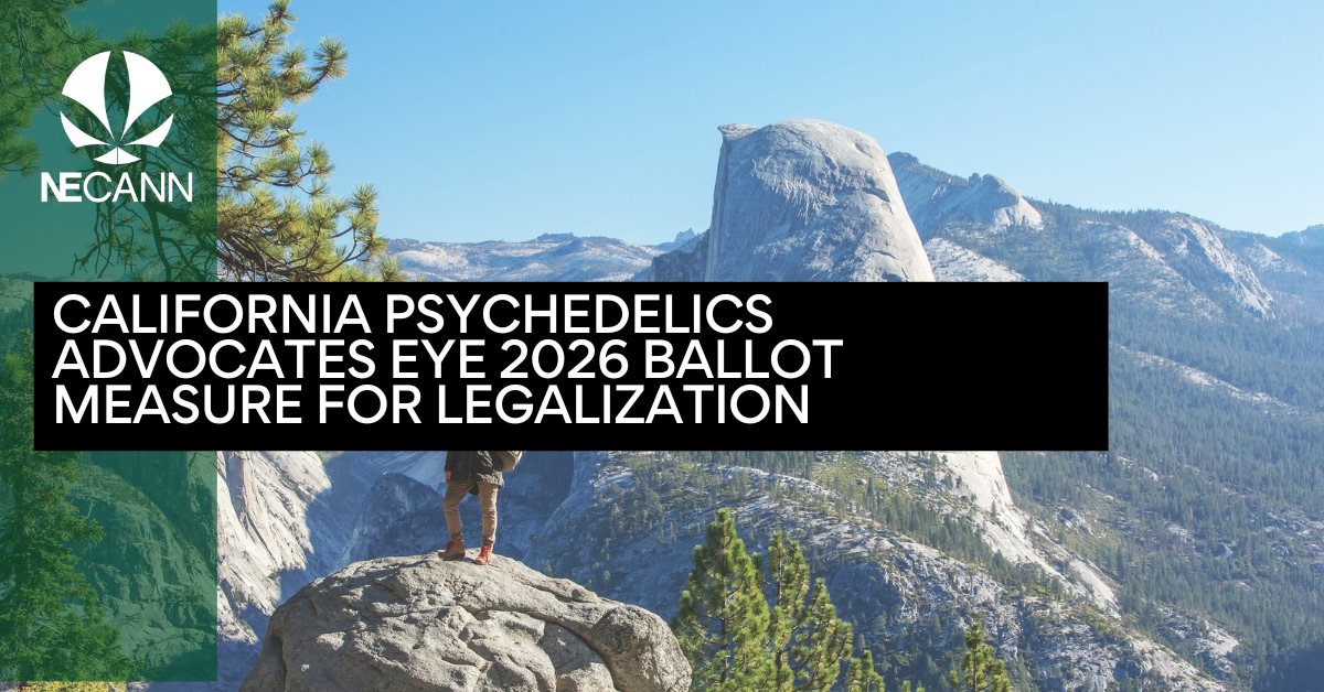 California Psychedelics Advocates Eye 2026 Ballot