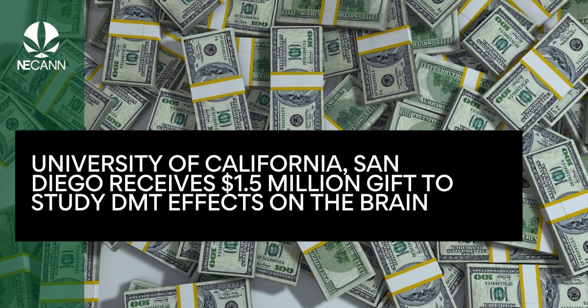 UC San Diego Receives $1.5M Gift to Study DMT