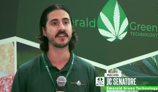 JC Senatore