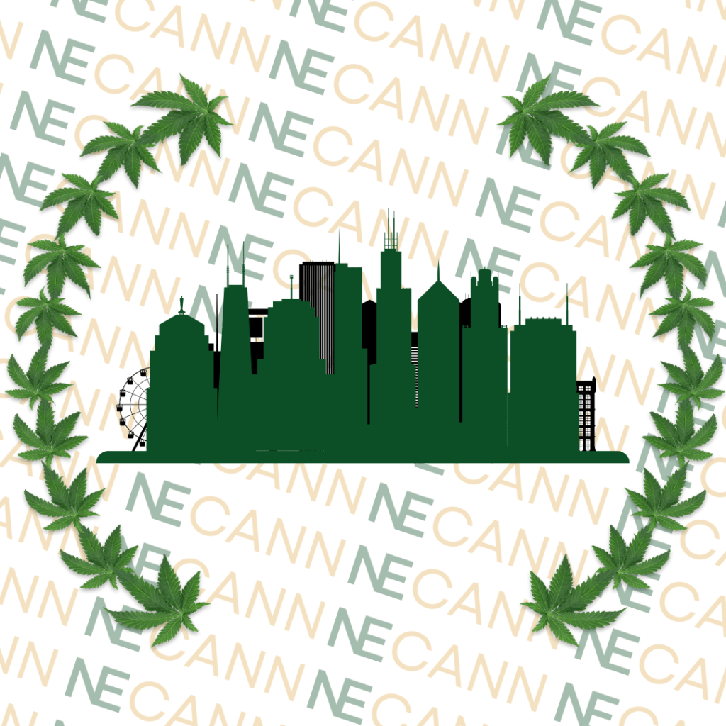 The Chicago Cannabis Scene