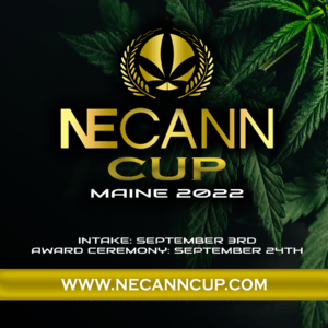 Maine cup 2022