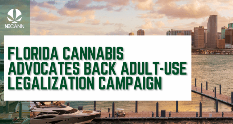 Cannabis advocates in Florida
