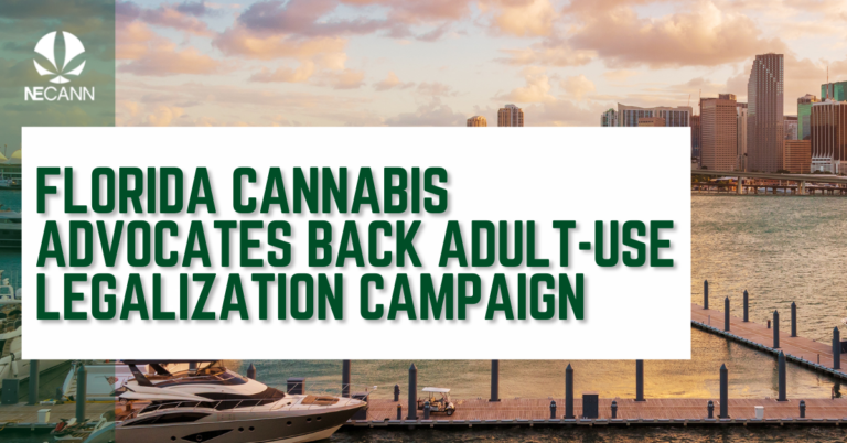 Cannabis advocates in Florida