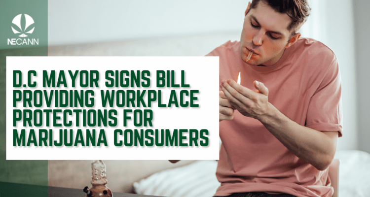 Marijuana Consumer Workplace Bill