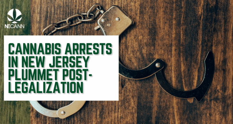 Arrests in New Jersey Plummet Post-Legalization