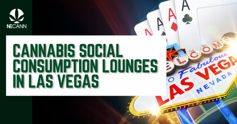 Cannabis Social Consumption Lounges