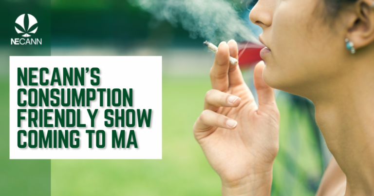 Consumption-Friendly Show Coming to MA