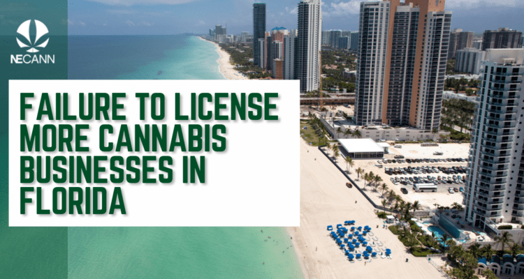 Failure to License More Cannabis Businesses in Florida