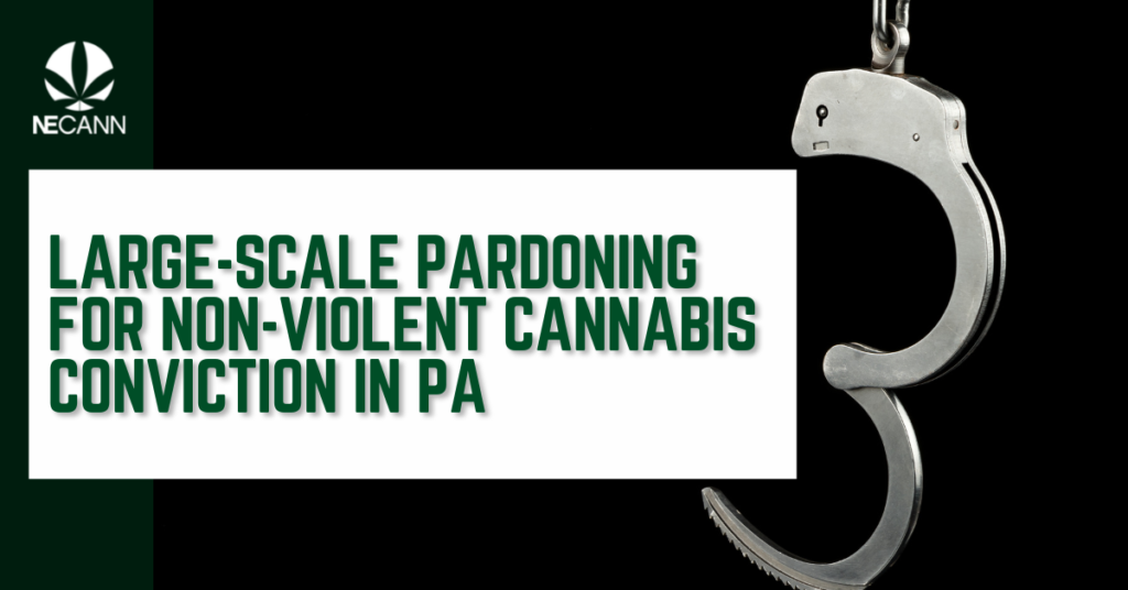 Non-Violent Cannabis Conviction in PA