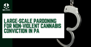 Non-Violent Cannabis Conviction in PA