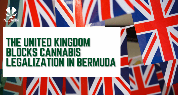 UK Blocks Cannabis Legalization in Bermuda