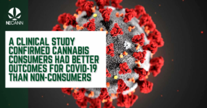 cannabis and Covid-19
