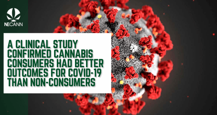 cannabis and Covid-19