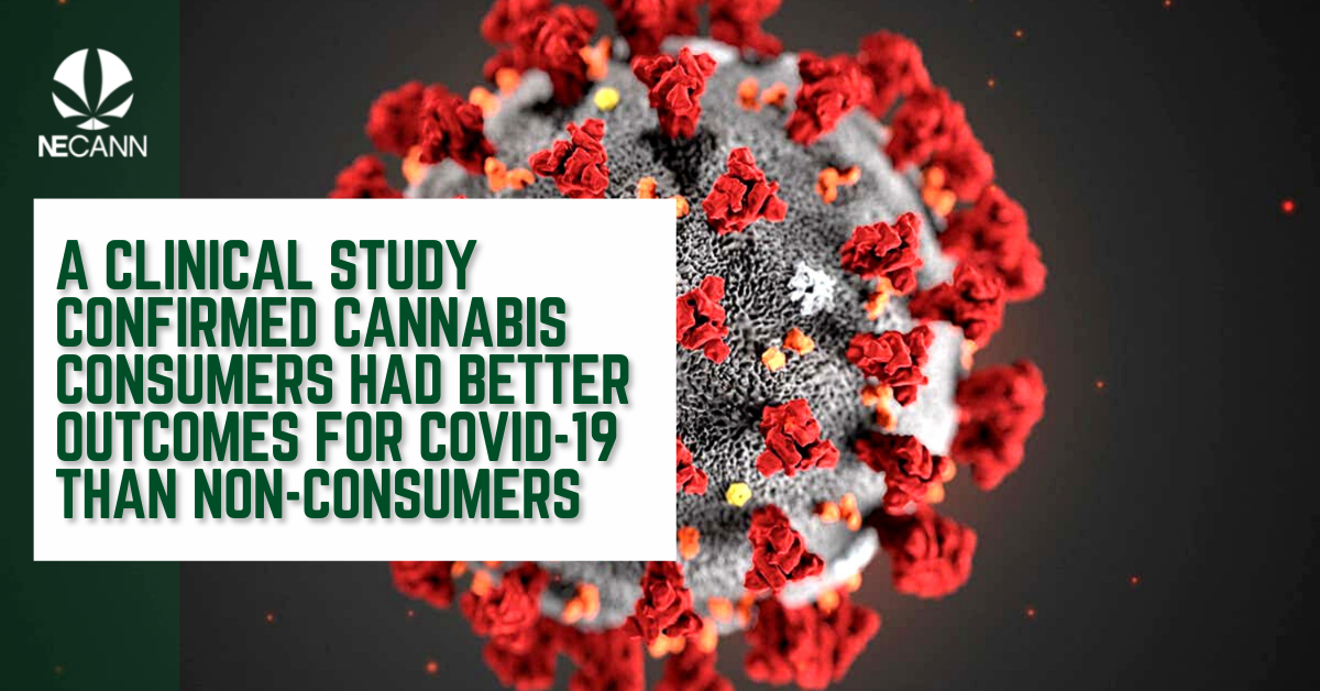 Cannabis And COVID-19 Clinical Study | NECANN