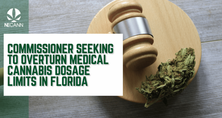 dosage limits for medical cannabis in Florida