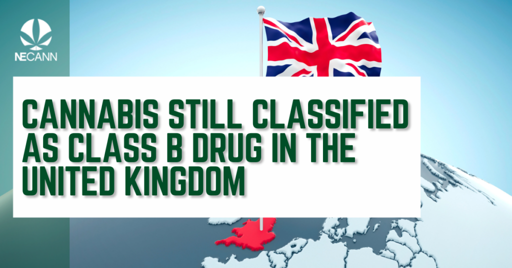Cannabis Still Classified as Class B Drug