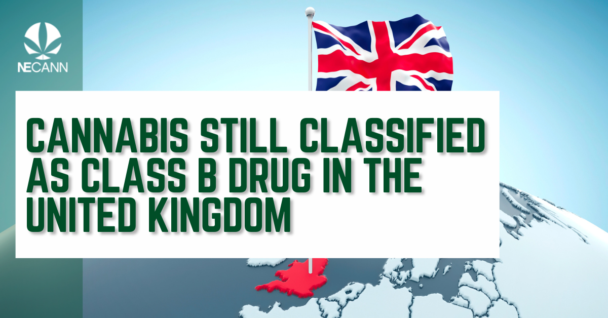 Cannabis Still Classified As Class B Drug In UK | NECANN