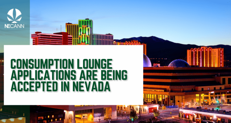 Consumption Lounge Applications in NV