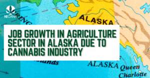 Job Growth in AK due to Cannabis
