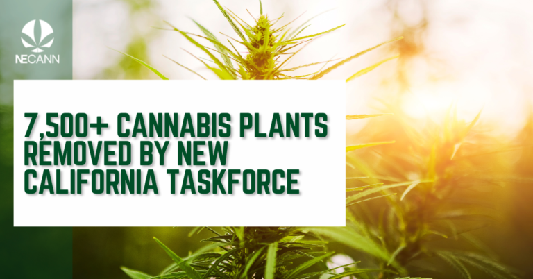 7,500+ Cannabis Plants Removed by New California Taskforce