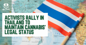 Cannabis Activists Rally in Thailand