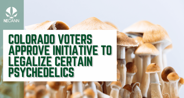 Colorado Voters Approve Initiative to Legalize Certain Psychedelics