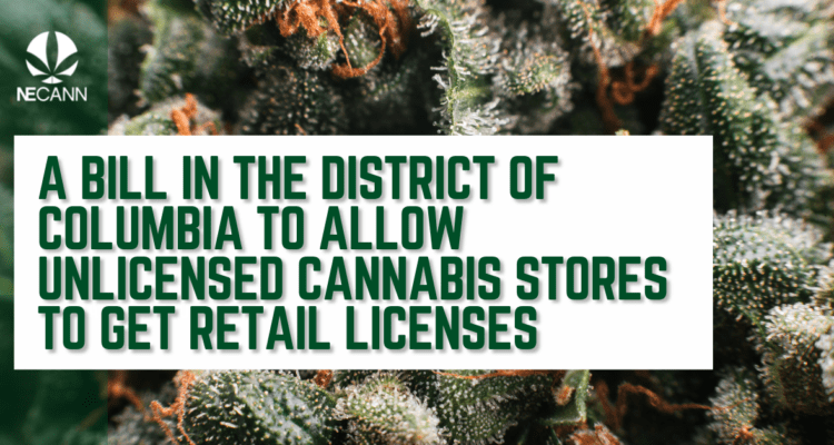 DC Bill Lets Canna Stores Get Retail Licenses