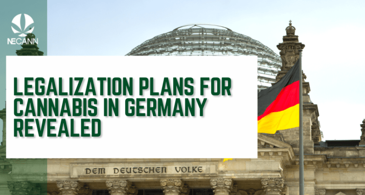 Legalization Plans Revealed in Germany