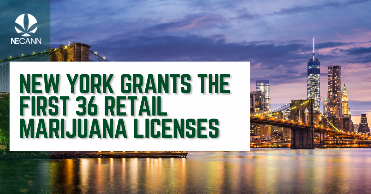 NY Issued 36 Retail Cannabis Licenses NECANN   NY Issued 36 Retail Cannabis Licenses 