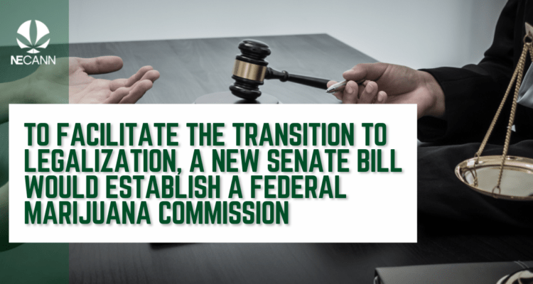 New Senate Bill to Prepare for Legalization