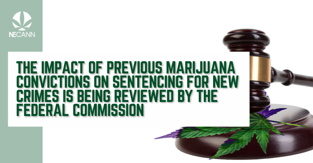 Previous Cannabis Convictions Under Review