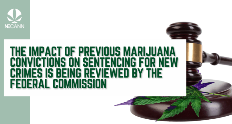 Previous Cannabis Convictions Under Review