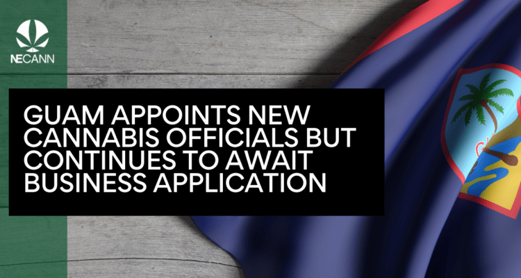 Guam Appoints Cannabis Officials