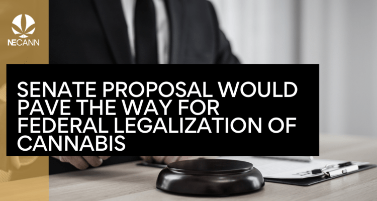 Senate Proposal Would Legalize Cannabis Federally