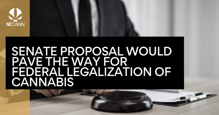 Senate Proposal Would Legalize Cannabis Federally