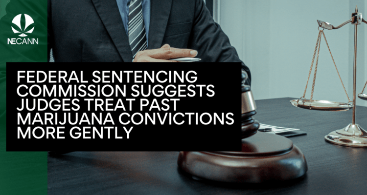 Federal Sentencing Commission Suggests Judges Treat Past Marijuana Convictions More Gently