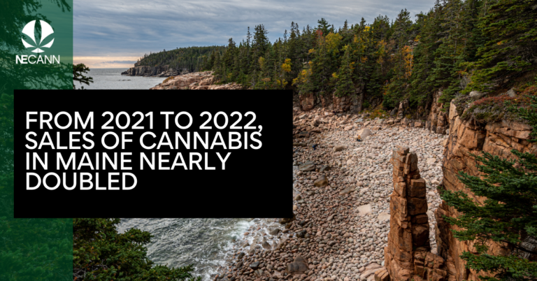ME Cannabis Sales Doubled in 2022