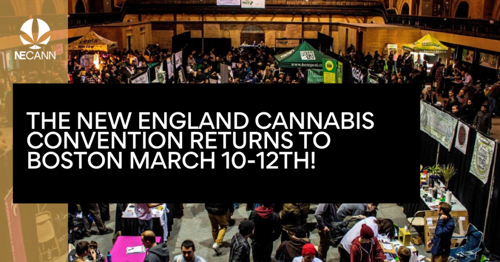 New England Cannabis Convention