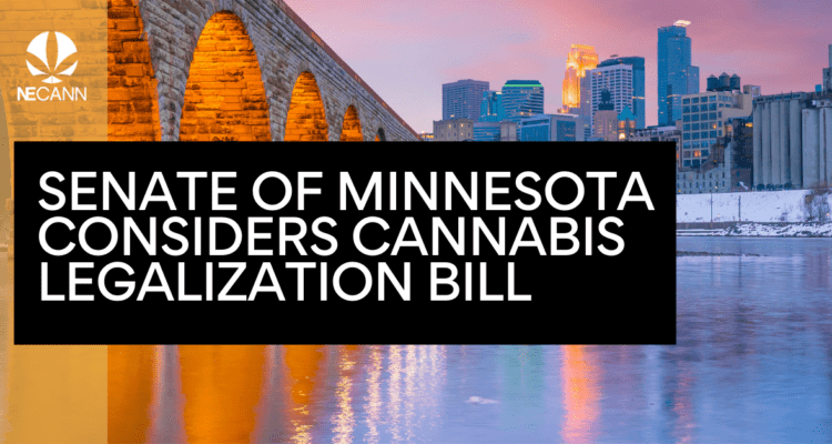 Senate of Minnesota Considers Cannabis Legalization Bill