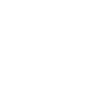necann cropped logo