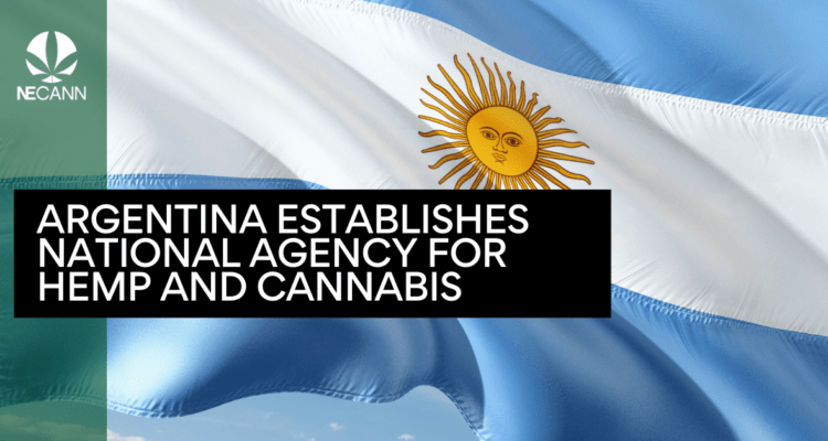 Argentina's Hemp and Cannabis Agency Launched