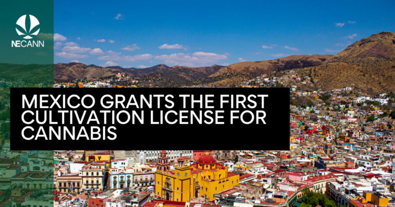 Mexico Issues First Cannabis Cultivation License