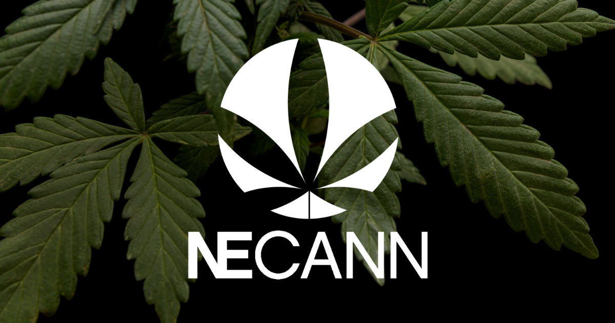 New England Cannabis Convention Series NECANN