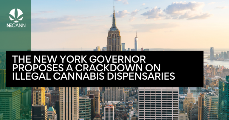 NY Gov. Proposes Crackdown on Cannabis Shops