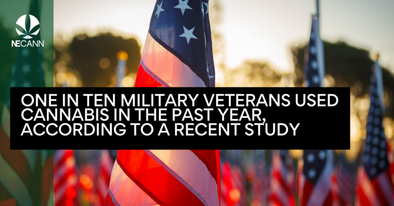 One in Ten Military Veterans Used Cannabis in the Past Year, According to a Recent Study