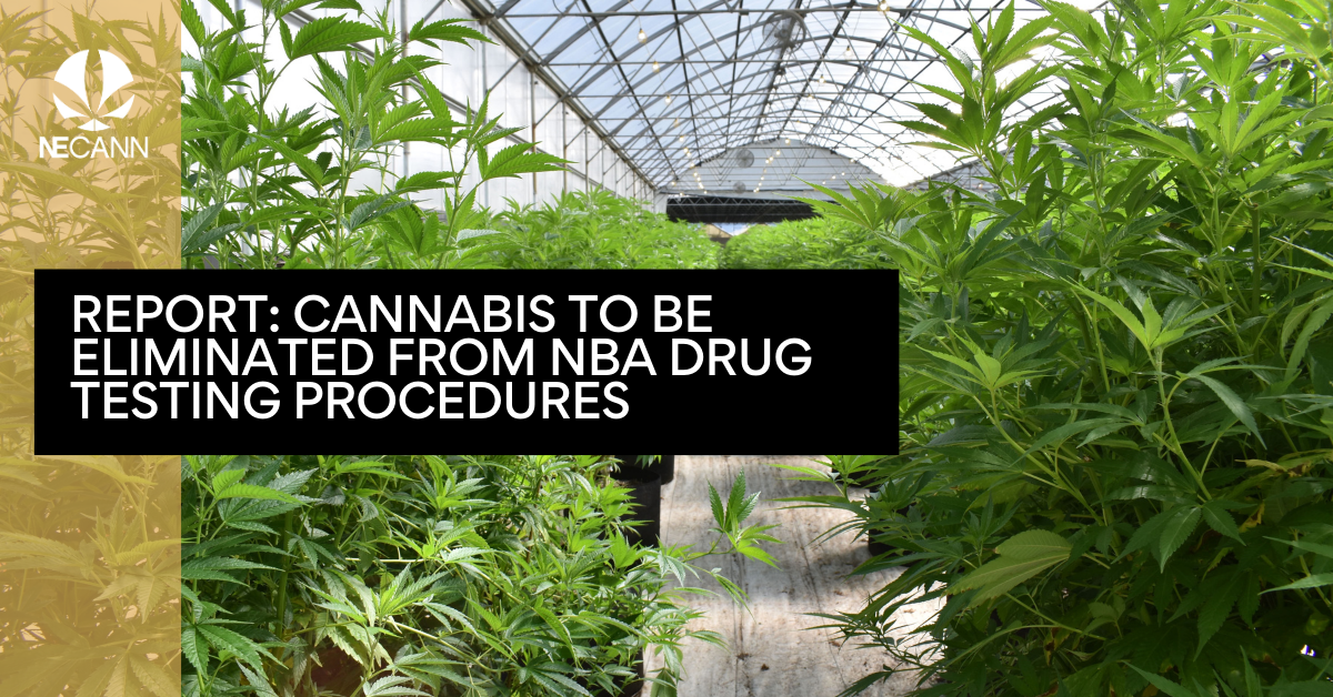 Report NBA Drug Testing Removes Cannabis NECANN