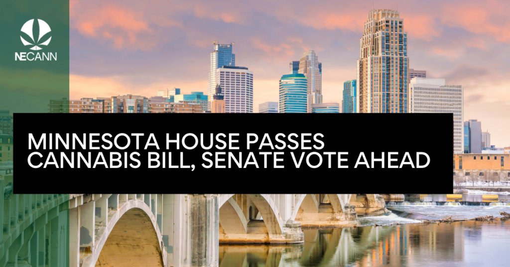 Minnesota House Passes Cannabis Bill, Senate Vote Ahead