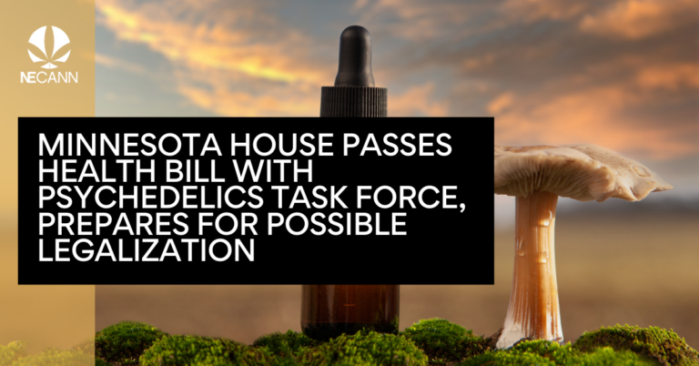 Minnesota House Passes Health Bill with Psychedelics Task Force, Prepares for Possible Legalization