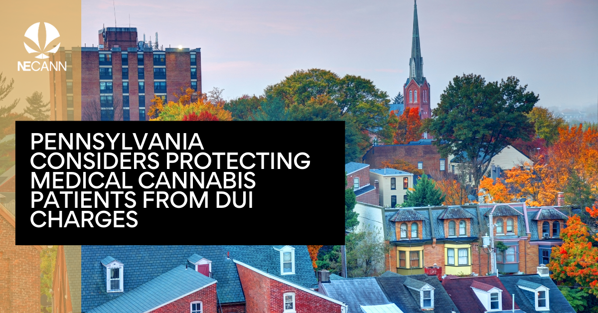 PA Reviews Medical Cannabis DUI Protection | NECANN