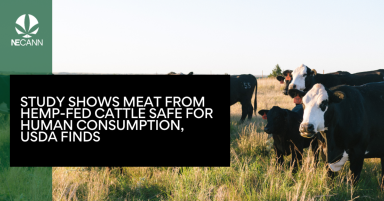 Study Shows Meat from Hemp-Fed Cattle Safe for Human Consumption, USDA Finds